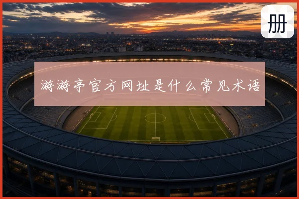 游游亭官方网址是什么常见术语
